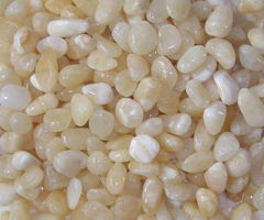 機(jī)制石米,米黃玉,卵石,石米生產(chǎn)供應(yīng)商 砂巖 礫石及卵石